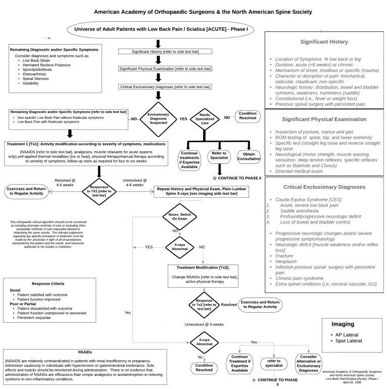 Dr. Nordt brings back Orthopaedic Clinical algorithm for lower back pain